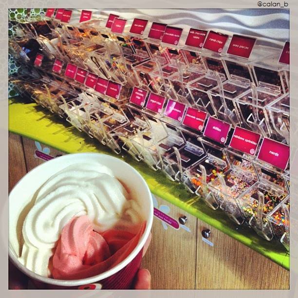 A cup of frozen yogurt is pictured against a background of multiple candy toppings in bins.