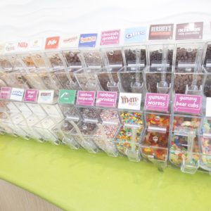 An array of froyo toppings are shown in clear plastic display bins.